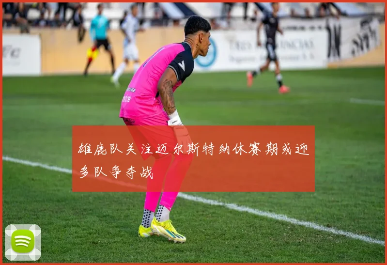 雄鹿队关注迈尔斯特纳休赛期或迎多队争夺战