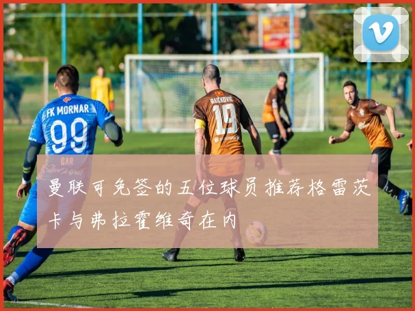 曼联可免签的五位球员推荐格雷茨卡与弗拉霍维奇在内